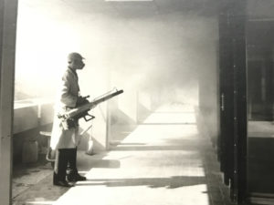 SIADD-disinfestazione-Torino