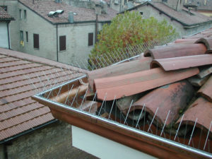 punte-dissuasori-tetto-allontanamento-piccioni