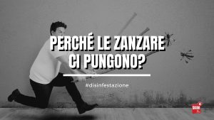 Perché le zanzare ci pungono
