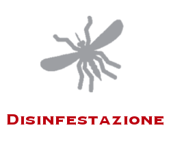 Disinfestazione