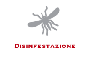 Disinfestazione