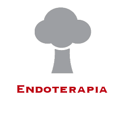 Endoterapia