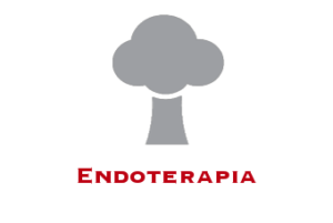 Endoterapia