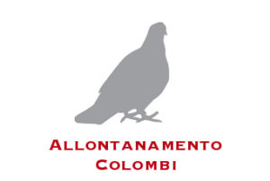 allontanamento colombi