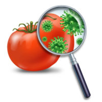 corsi-haccp-sicurezza-alimentare