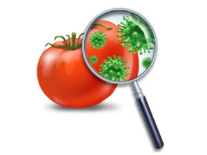 corsi-haccp-sicurezza-alimentare