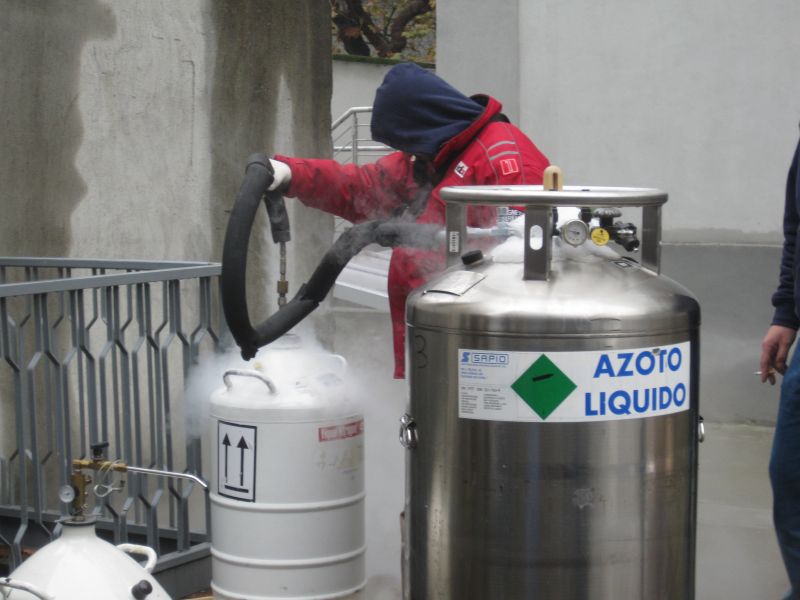 azoto-liquido-disinfestazioni-cimici-SIADD