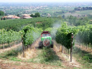 campi-trattamenti-antiparassitari