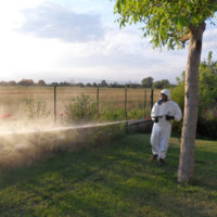 disinfestazione-giardino-SIADD-Torino