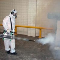 fumigazione-disinfestazione-SIADD-Torino