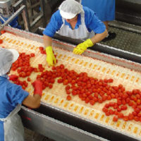 haccp-industria-alimentare-disinfestazione