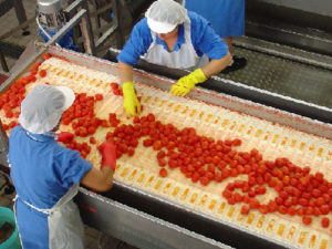 haccp-industria-alimentare-disinfestazione