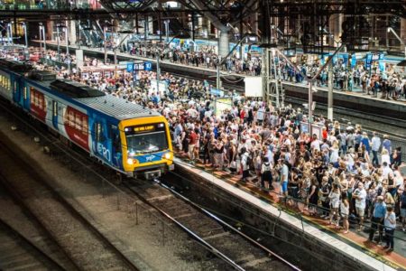 Mezzi di trasporto infestati da insetti