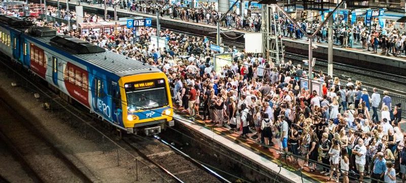 trasporto-pubblico-infestazione-insetti