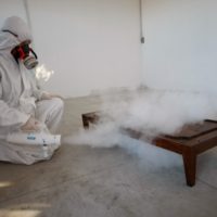 disinfestazione-tarli-fumigazione-Torino
