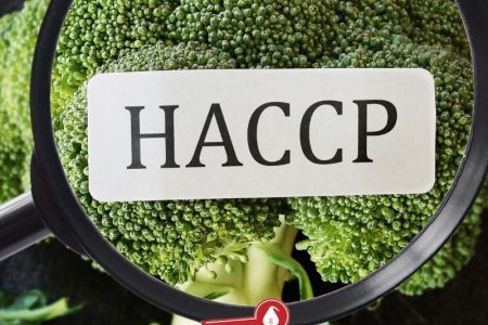 HACCP- SERVIZI DI SIADD IGENSERVICE-TORINO