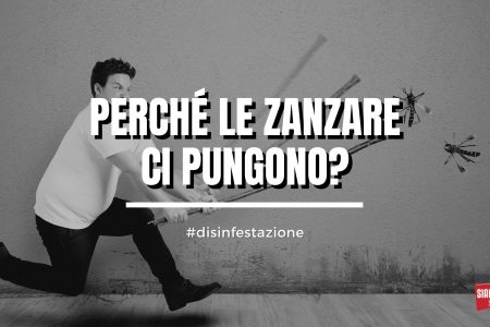 Perché le zanzare ci pungono