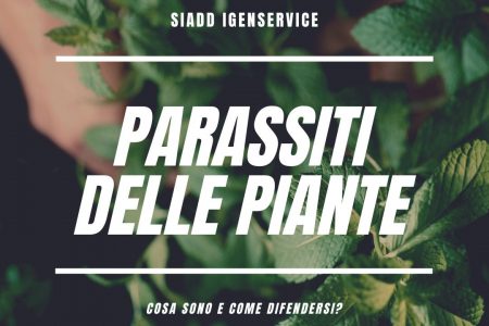 Parassiti e malattie delle piante